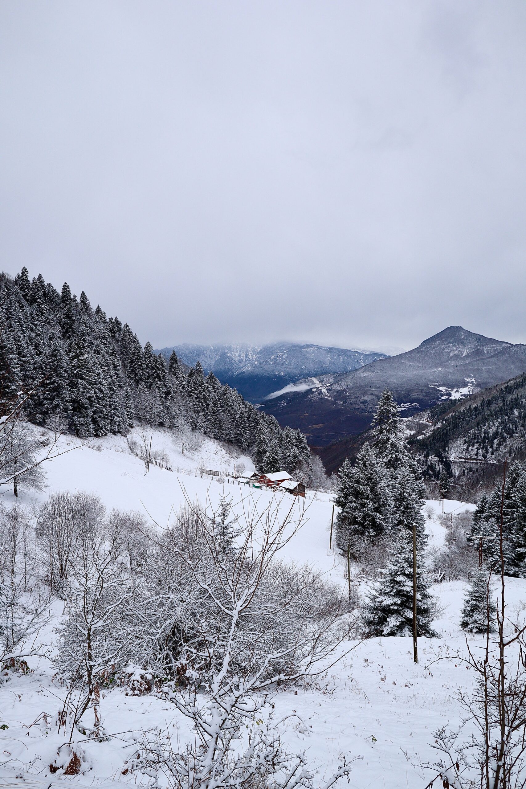 Lire la suite à propos de l’article Flash info Décembre 2023