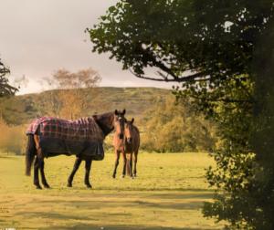 Actus QSE-RSE - actualités réglementaires - veille réglementaire - conformité réglementaire - veille rse - veille environnement - veille sst - réglementation - évaluation de conformité