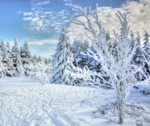 Actus QSE-RSE - actualités réglementaires - veille réglementaire - conformité réglementaire - veille rse - veille environnement - veille sst