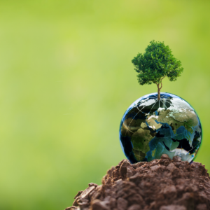 Actus QSE-RSE - actualités réglementaires - veille réglementaire - conformité réglementaire - veille rse - démarche rse